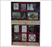 allergy doctor in palanpur