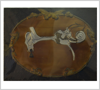 Allergy Doctors in Ahmedabad