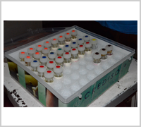 Allergy Treatment in Ahmedabad