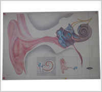 eyes allergies doctor in ahmedabad