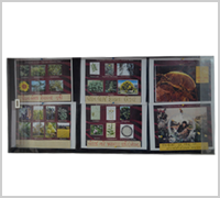 allergic rhinitis nose blocked sneezing doctor